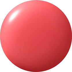 029 SS