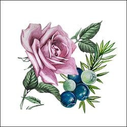 01 Travel Blend Rose & Juniper Berry
