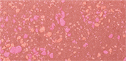 102 Laguna Agate