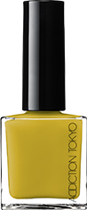 THE NAIL POLISH