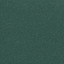 029M Avocado