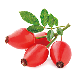 Rose hip oil
