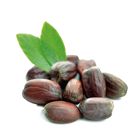 Organic jojoba oil