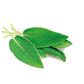 Organic sage extract