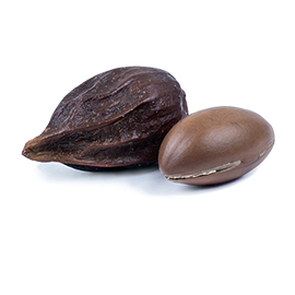 Organic argan oil