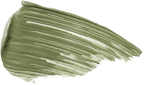 THE MASCARA　INTENSE LASHES “UNKNOWN FAMILIAR”